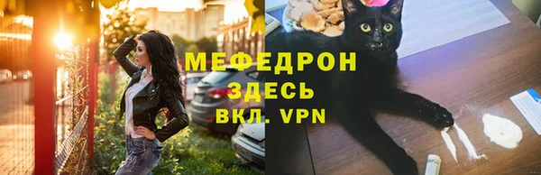 индика Осташков