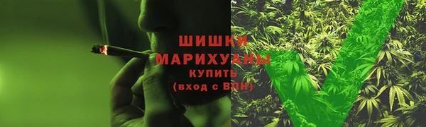 индика Осташков