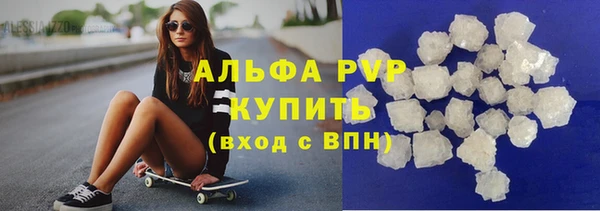 индика Осташков
