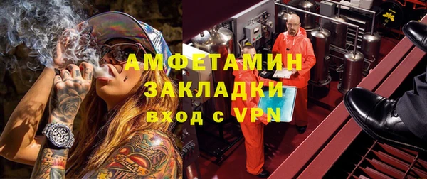 индика Осташков