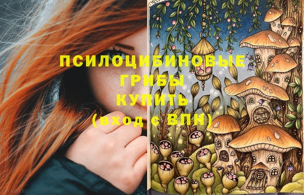 марки lsd Осинники