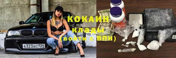 индика Остров
